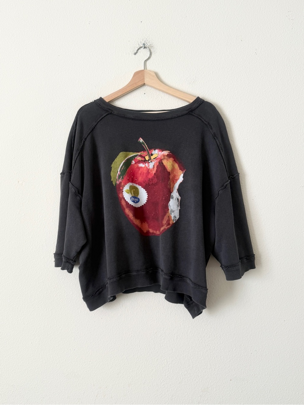 We The Free People MEDIUM Everything Printed OVERSIZED pullover in Apple Combo